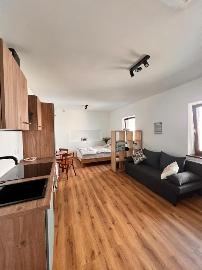 Perfekte Lage! Ganze Wohnung Burgblick Residenz Санкт Файт ан дер Глан Екстериор снимка